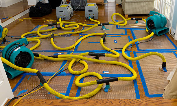 Professional Water Extraction technician working in Bayside, NY